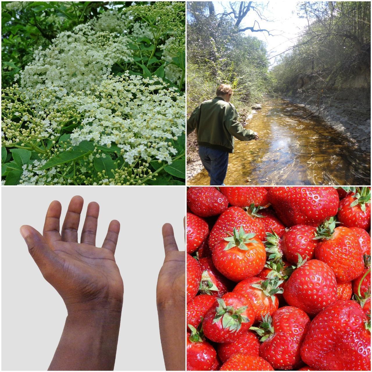 Used Canon CyberShot H90 Digital Camera