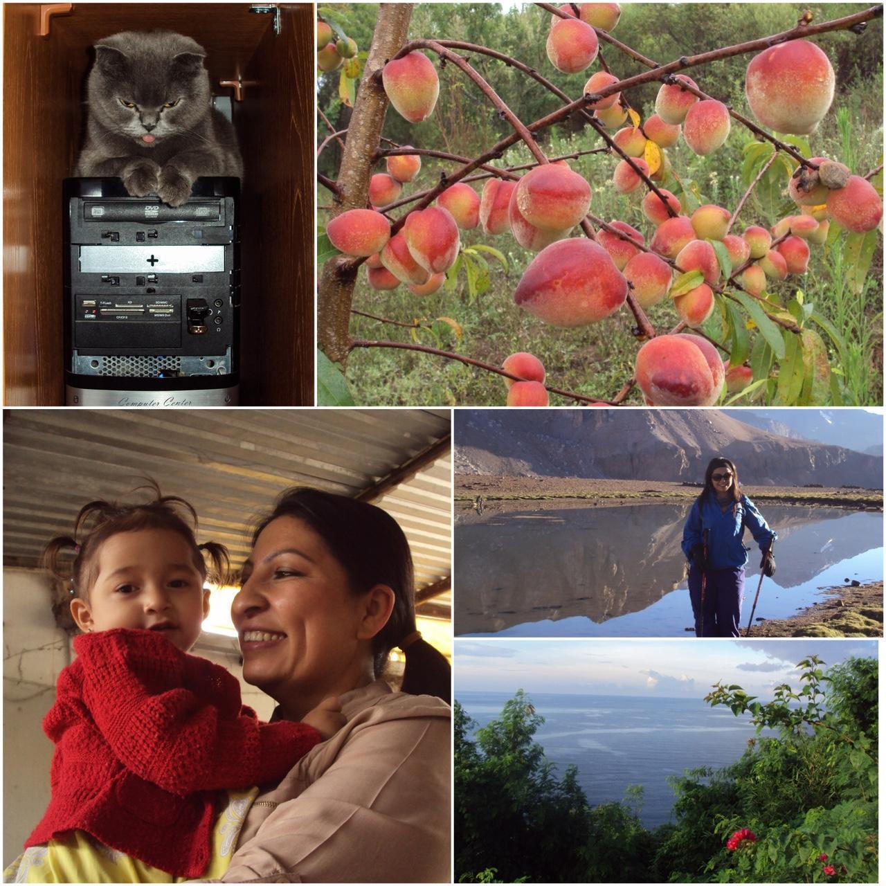 Used Cybershot S930 Digital Camera