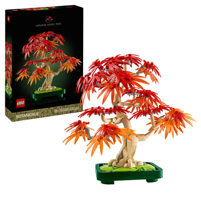 10348 - Japanese Red Maple Bonsai Tree