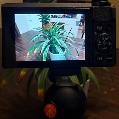 Used 🍥🎀📷 Canon G7X Mark II with Tripod 🍇₊˚💜