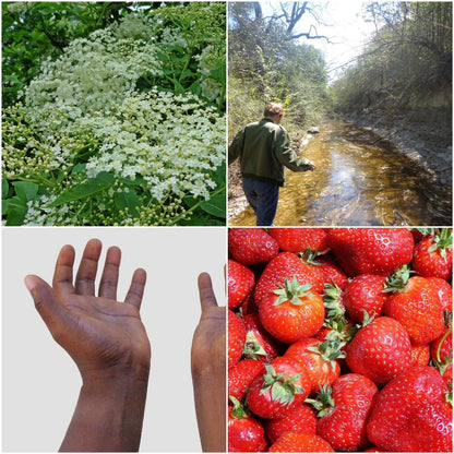 Used Canon CyberShot H90 Digital Camera