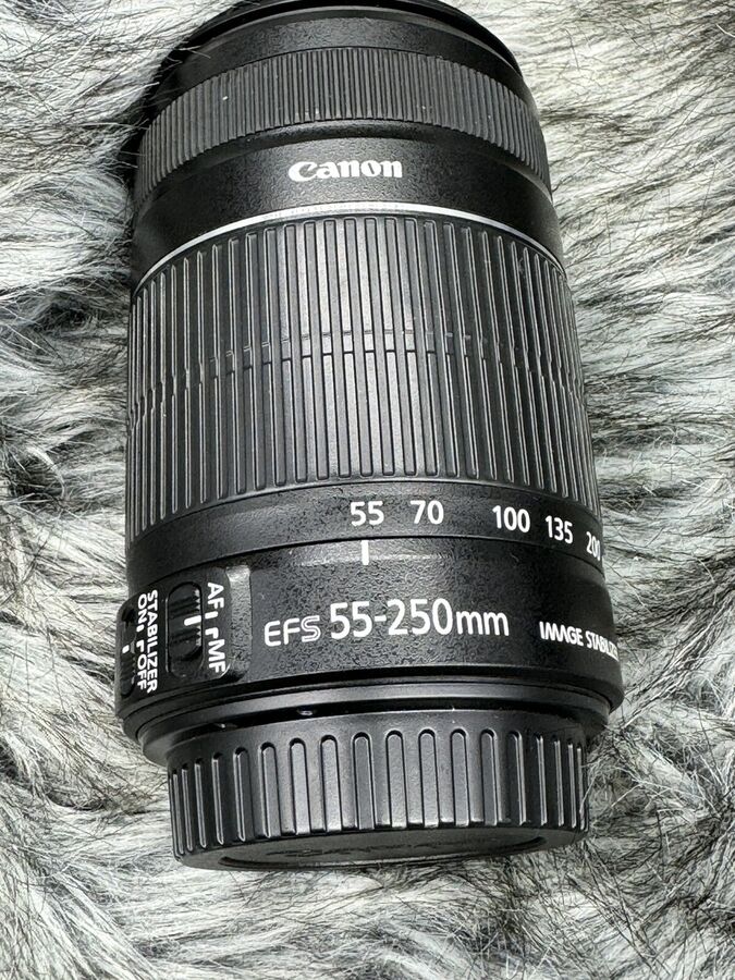 Canon EOS 77D 24.2 MP Digital SLR Camera with EF-S 18-55mm & EF-S 55-250mm Lenses