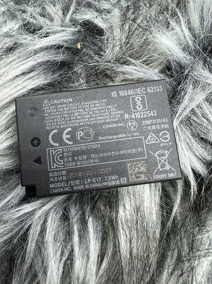 Canon EOS 77D 24.2 MP Digital SLR Camera with EF-S 18-55mm & EF-S 55-250mm Lenses