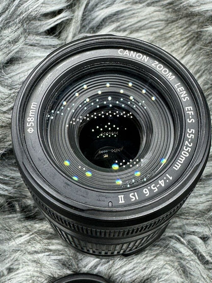 Canon EOS 77D 24.2 MP Digital SLR Camera with EF-S 18-55mm & EF-S 55-250mm Lenses